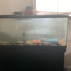 50-75 Gallon Aquarium With Stand
