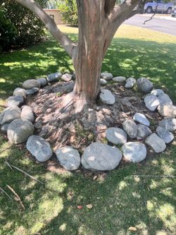Decorative Landscape Rocks/Boulders