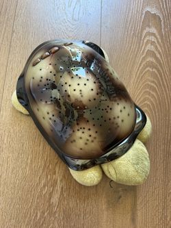 Night light turtle