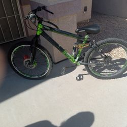 Genesis 24 Inch Mountain Bike