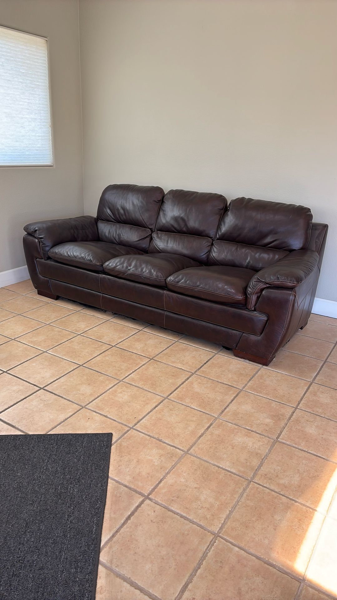 Faux Leather Couch