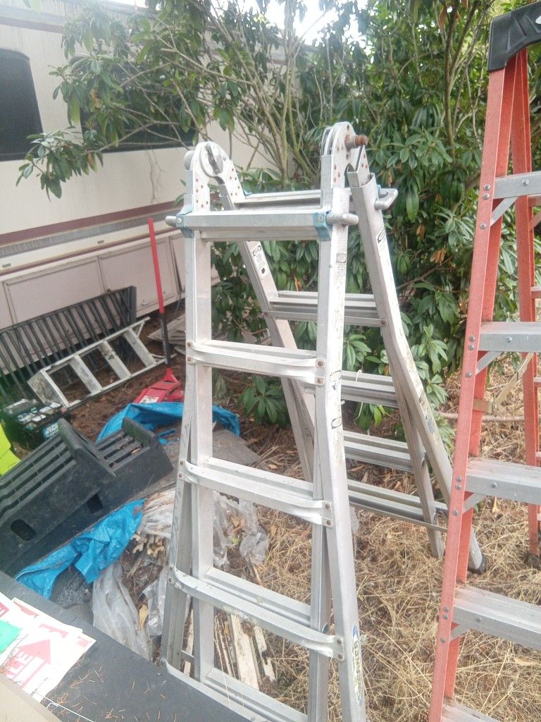 Werner Adjustable Ladder