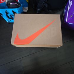 Nike SB Dunk Low Pro Size 11