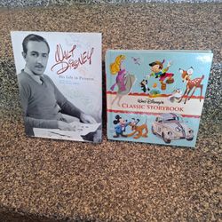 DISNEY BOOKS LOT OF TWO 