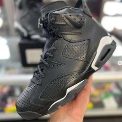 Air Jordan 6