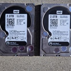 2TB Hard Drives Matched Pair 