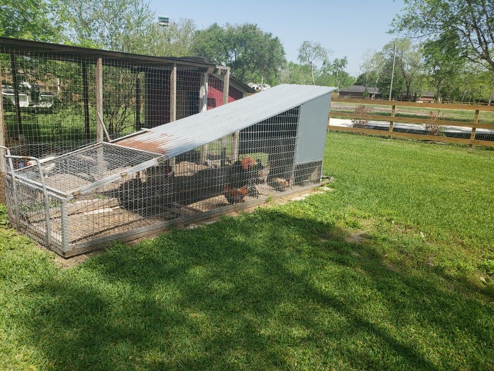 Chicken Coop. Chicken Tractor