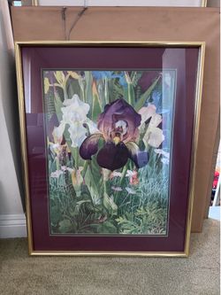 Framed Cattleya Orchid print