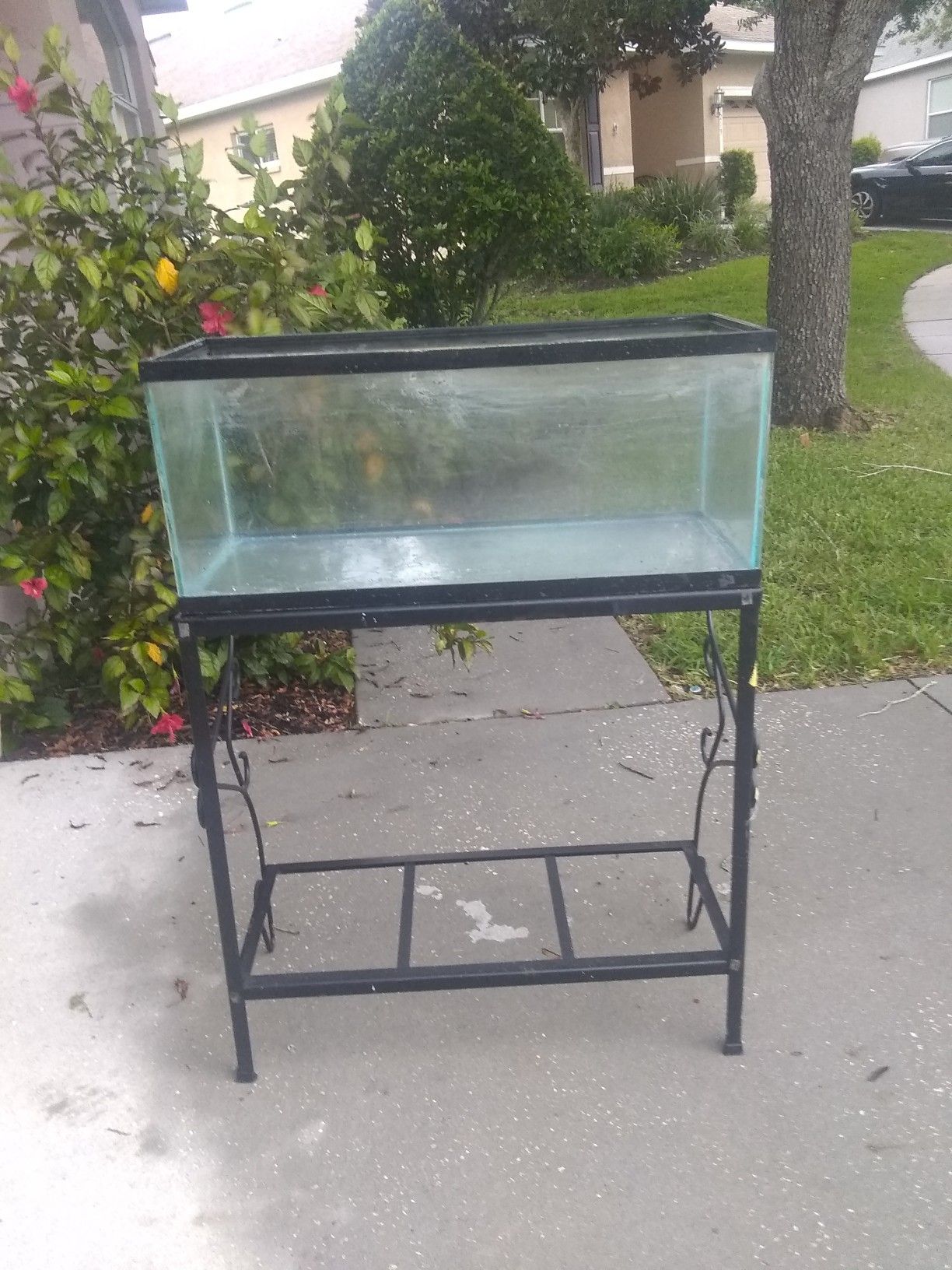 20 gallon long tank with black metal stand