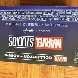 Funko Marvel Collector Corps Subscription Box: Disney+ Original Series - L