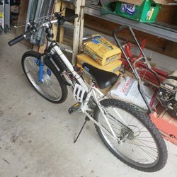 Electric Bike
