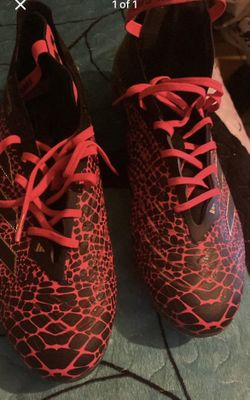 Year Of The Snake Cleats