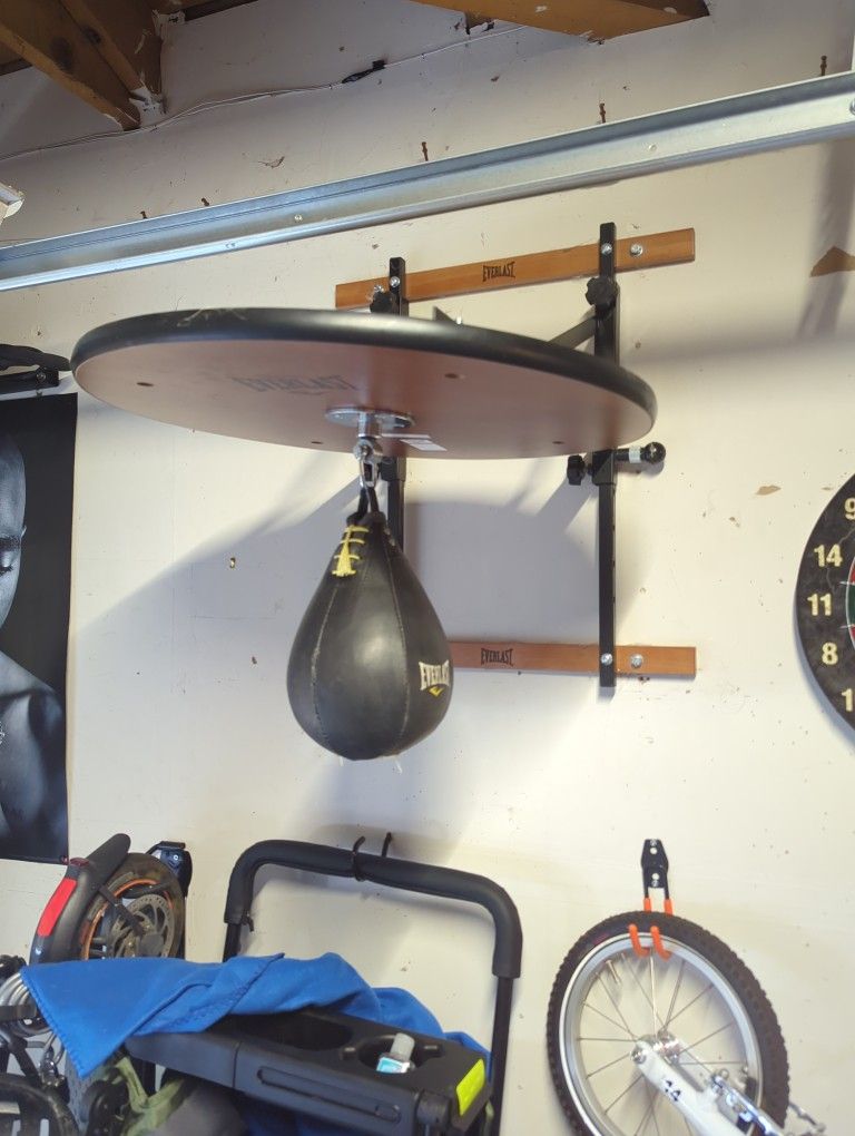 Everlast Speedbag