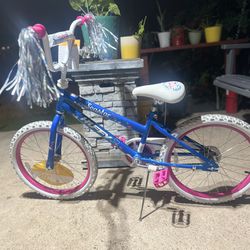 20 Inch Bike