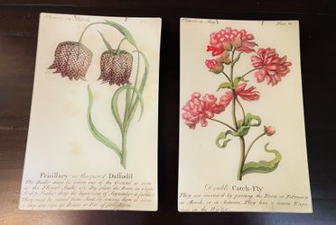 Bedroom/Office Art - John Derian Decoupage Plates