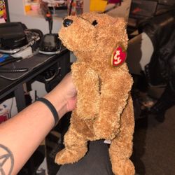 Ty Beanie Baby Scooter The Dog