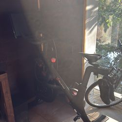 Peloton for sale