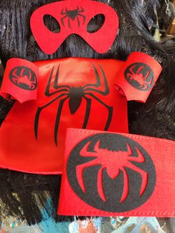 Boy's Spider Costume