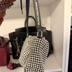Alexander Wang Purse 