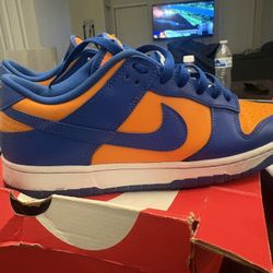 Nike Dunks 
