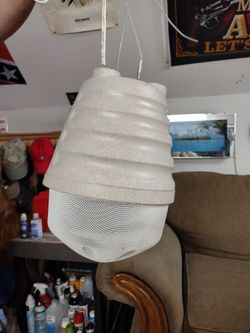 Bose Speakers