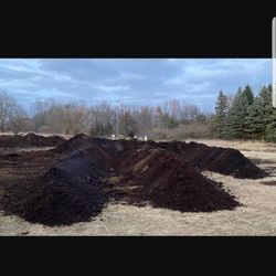 Composted cow Manure At Farm