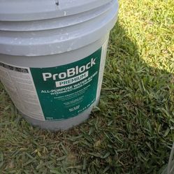 Paint Waite Primer Exterior 