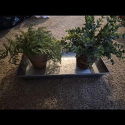 2 fake plants & tray