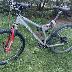 Specialized Stumpjumper FSR