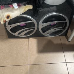 2 12 in Pyle subwoofer with box