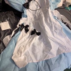 Alice In Wonderland Costume Size Small