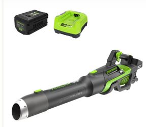 BNIB Greenworks 80v leaf blower battery & charger