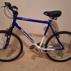 Raleigh Bike and Helmet