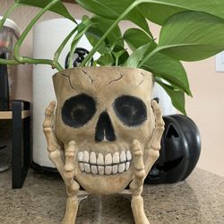 Skull Planter