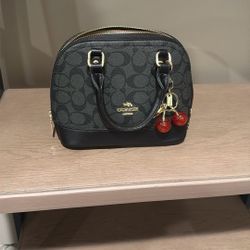 Coach mini Bag
