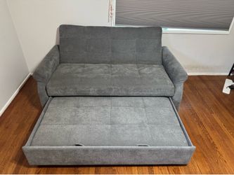 FREE Gray Sleeper Sofa / Sofa Bed