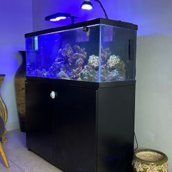 Acuarium Sea