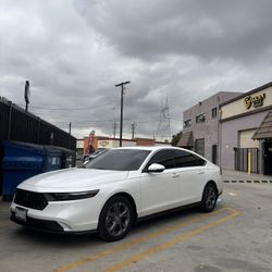 T I N T FULL CARBON (50%, 35%, 25% , 5%)  $149 (COMPUTER CUT)