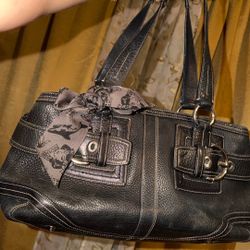 Leather Coach Black 