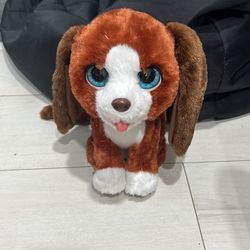 Cute For Real Freind