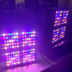 LED Grow Lights