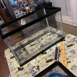 10 Gallon Tank