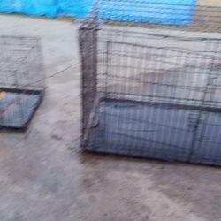 Cages Big Medium Small $60 $40 S20