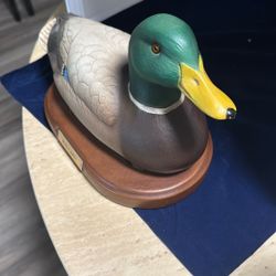 Mallard Duck 