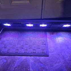 Maxspect Reef Light