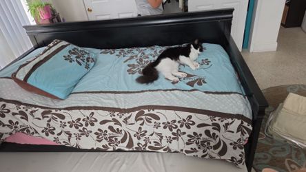 Twin Trundle bed with Mattress