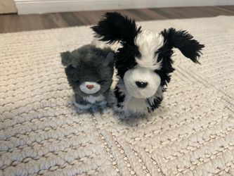 American girl cat and dog
