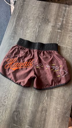 Hawaii Embroidered Shorts
