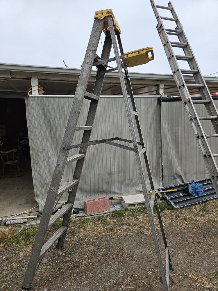 8ft Ladder