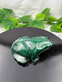 Rare Crystal Malachite Frog